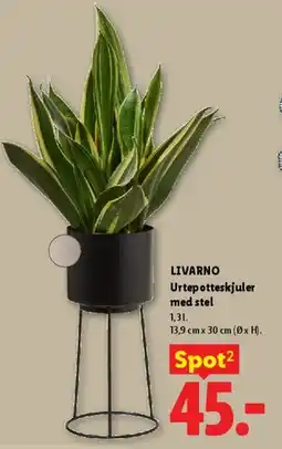Lidl Urtepotteskjuler med stel tilbud