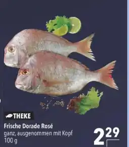 Citti THEKE Frische Dorade Rosé tilbud