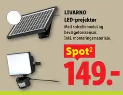 Lidl LIVARNO LED-projektør tilbud