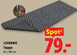 Lidl Livarno Tæppe tilbud