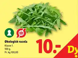 Lidl Økologisk rucola tilbud