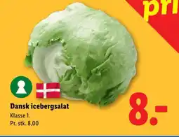 Lidl Dansk icebergsalat tilbud