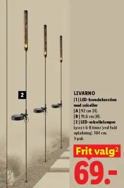 Lidl LED-havedekoration / LED-solcellelamper tilbud