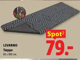 Lidl LIVARNO Tæppe tilbud