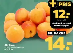 Netto Abrikoser tilbud