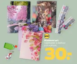 Netto Diamond art tilbud