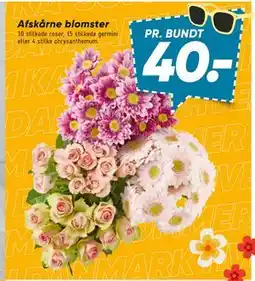 Bilka Afskårne blomster tilbud