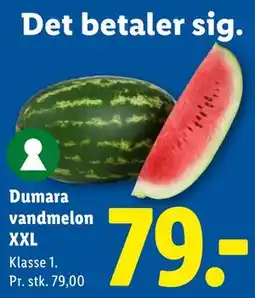 Lidl Dumara vandmelon XXL tilbud