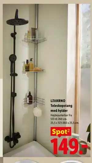 Lidl LIVARNO Teleskopstang med hylder tilbud