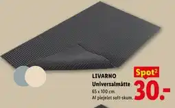 Lidl LIVARNO Universalmåtte tilbud