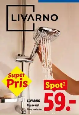 Lidl LIVARNO Brusesæt tilbud