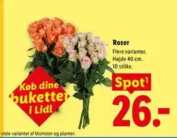 Lidl Roser tilbud
