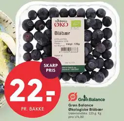 SPAR Grøn Balance Økologiske Blåbær tilbud