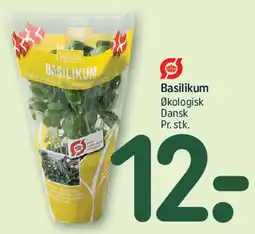 REMA 1000 Basilikum tilbud
