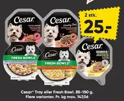 Bilka Cesar Tray / Fresh Bowls (85-150 g) tilbud