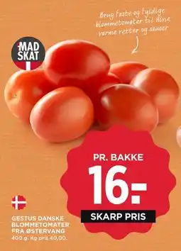 MENY GESTUS DANSKE BLOMMETOMATER FRA ØSTERVANG tilbud