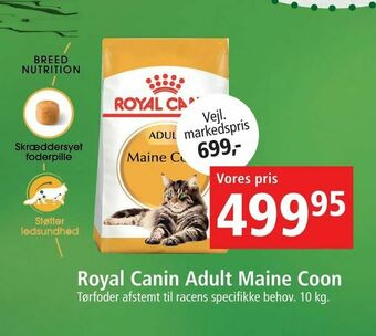Maxi Zoo Royal Canin Adult Maine Coon tilbud