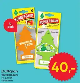 BigDollar Duftgran Wunderbaum tilbud