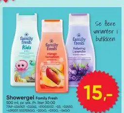 BigDollar Showergel Family Fresh tilbud