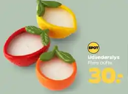 Netto Udendørslys / duftlys tilbud