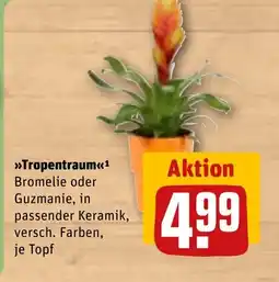 REWE DE Tropentraum tilbud