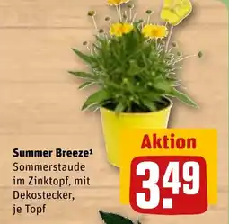 REWE DE Summer Breeze tilbud