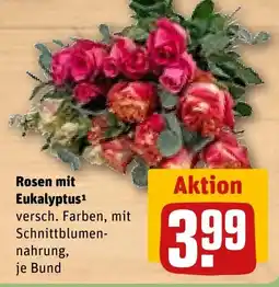 REWE DE Rosen mit Eukalyptus tilbud