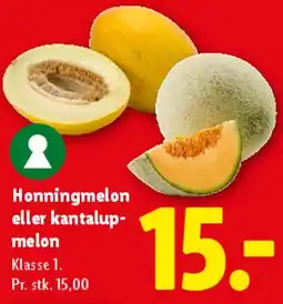 Lidl Honningmelon eller kantalup-melon tilbud