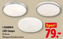 Lidl LED-lampe tilbud