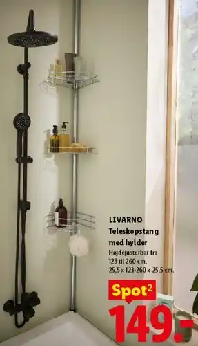 Lidl Teleskopstang med hylder tilbud