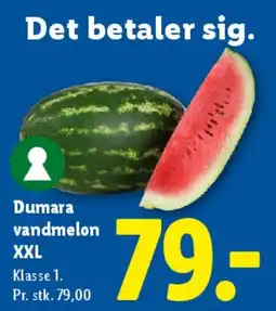 Lidl Dumara vandmelon XXL tilbud