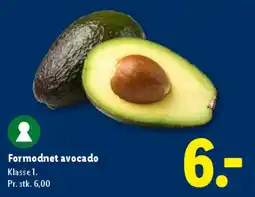 Lidl Formodnet avocado tilbud