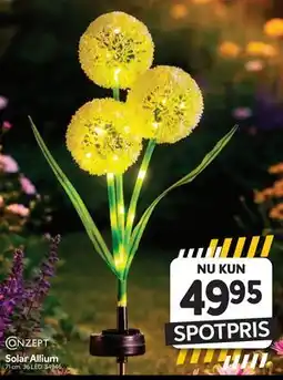 Din Isenkræmmer Solar Allium tilbud