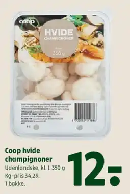 Coop 365 Coop hvide champignoner tilbud