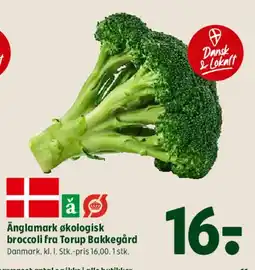 Coop 365 Änglamark økologisk broccoli fra Torup Bakkegård tilbud