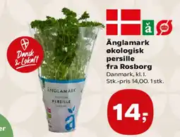 SuperBrugsen Änglamark økologisk persille fra Rosborg tilbud