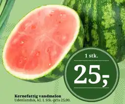 Dagli'Brugsen Kernefattig vandmelon tilbud