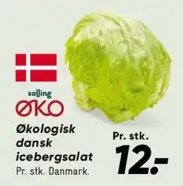Bilka Økologisk dansk icebergsalat tilbud