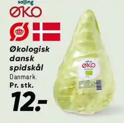 Bilka Økologisk dansk spidskål tilbud