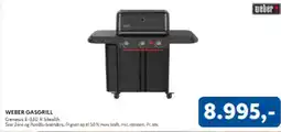 Davidsen Weber gasgrill tilbud