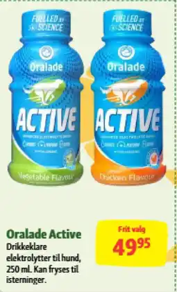 Maxi Zoo Oralade Active tilbud