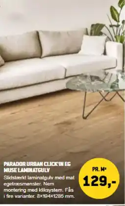 XL-BYG Parador urban click'in eg muse laminatgulv tilbud