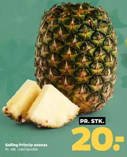 Netto Salling Princip ananas tilbud
