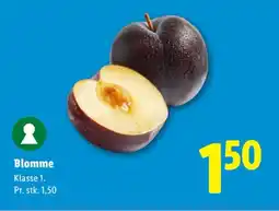 Lidl Blomme tilbud