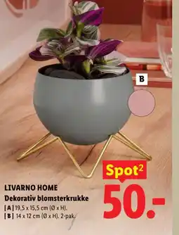 Lidl Livarno Home Dekorativ blomsterkrukke tilbud