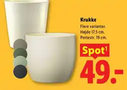 Lidl Krukke tilbud