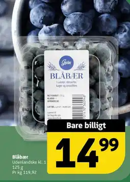 Løvbjerg Blåbær tilbud