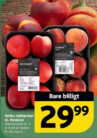 Løvbjerg Omhu nektariner el. ferskner tilbud