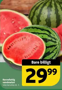 Løvbjerg Kernefattig vandmelon tilbud