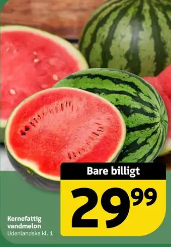 Løvbjerg Kernefattig vandmelon tilbud